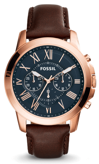 FOSSIL Grant FS5068