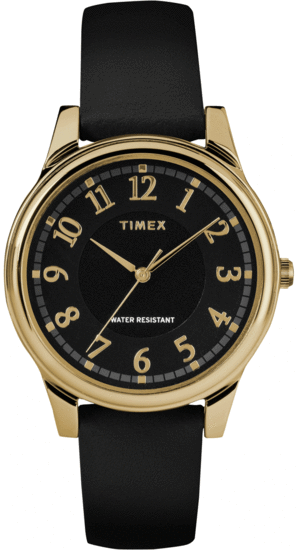 TIMEX TW2R87100